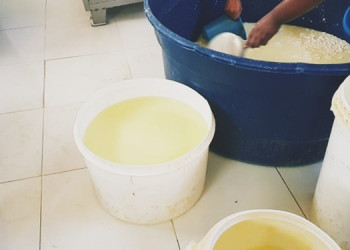 Fábrica é interditada por produzir queijos em manilhas e baldes em cidade do Piauí